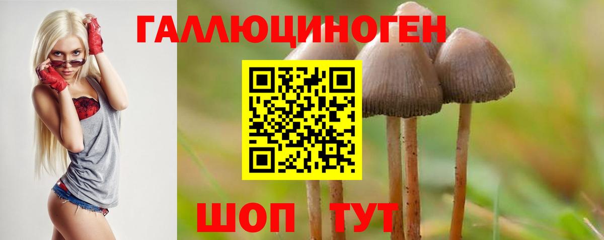 Галлюциногенные грибы мицелий Дубна