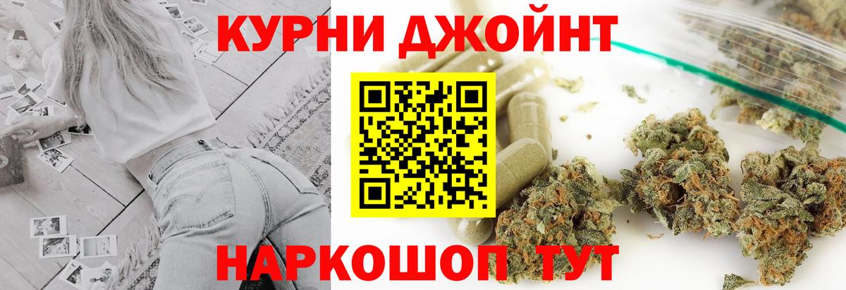 Канабис OG Kush Дубна